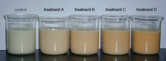 biology eei experiment ideas