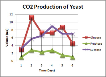 Enzyme coursework biology